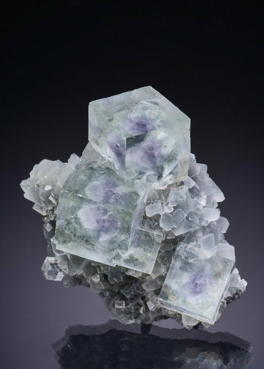 CC43860 specimen image