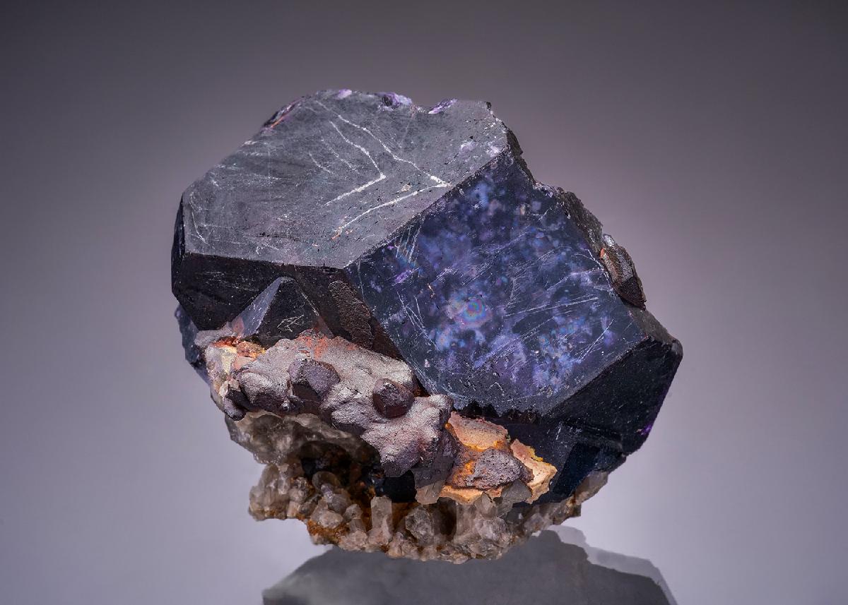 CC43874 specimen image