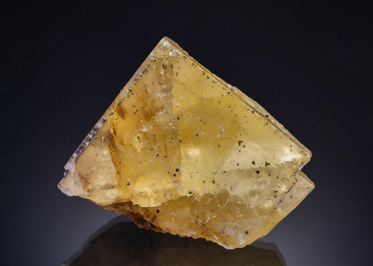 CC43878 specimen image