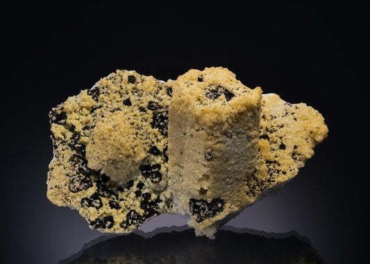 CC43892 specimen image