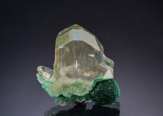 CC43904 specimen image