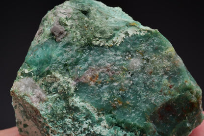 CC43936 specimen image