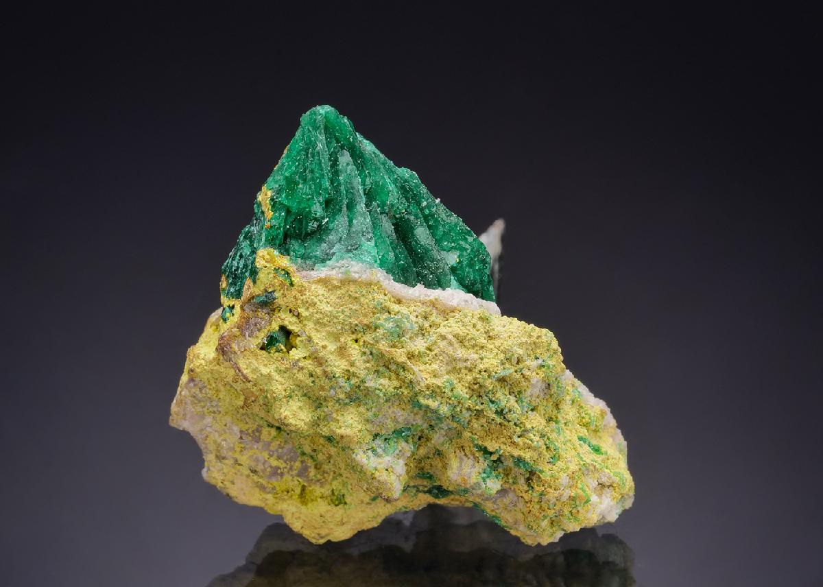 CC43944 specimen image