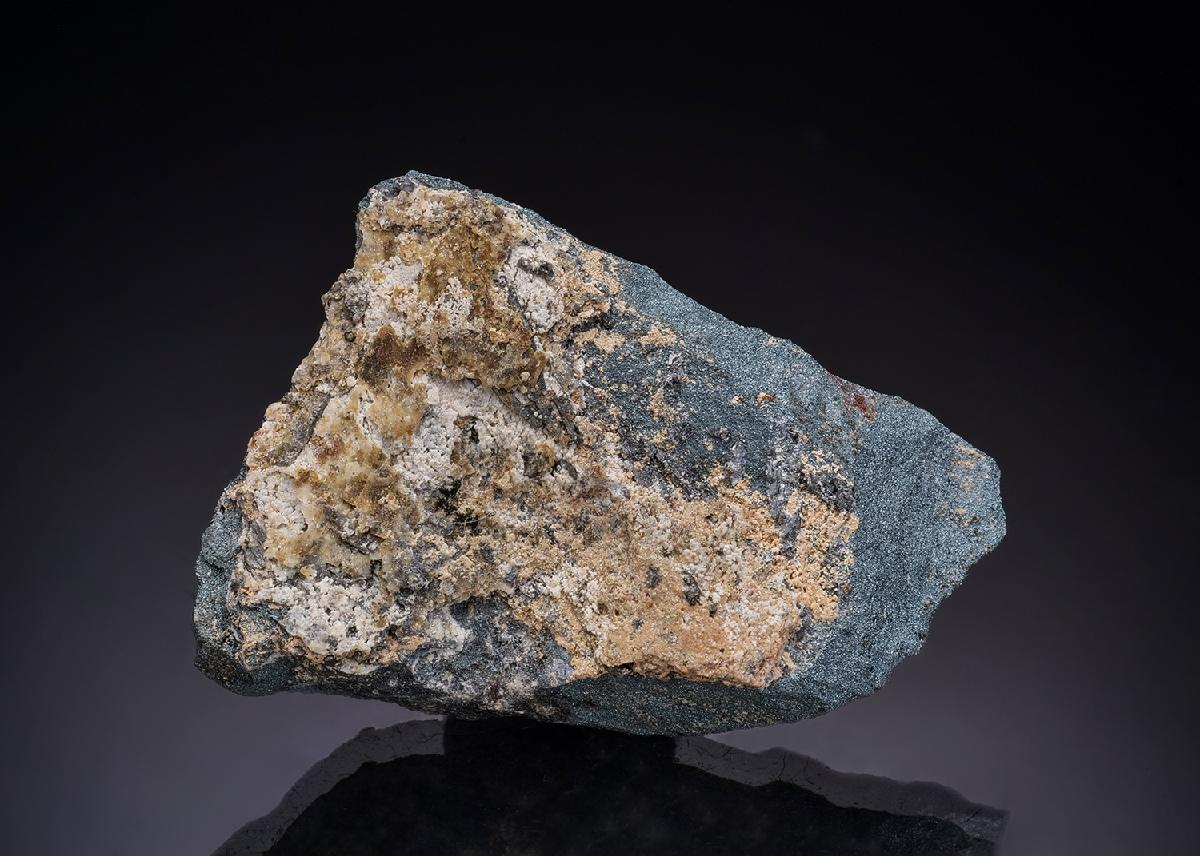 CC43950 specimen image