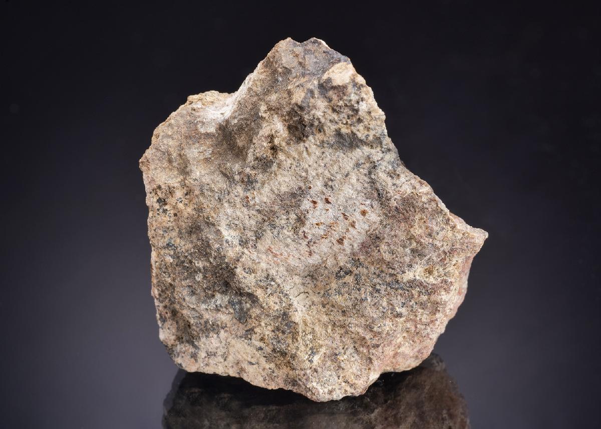 CC43960 specimen image
