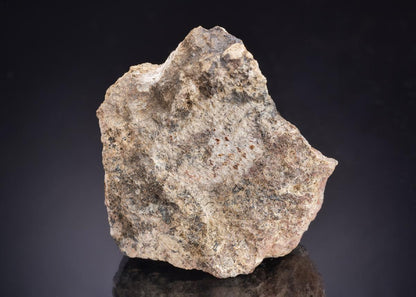 CC43960 specimen image