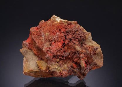 CC43966 specimen image