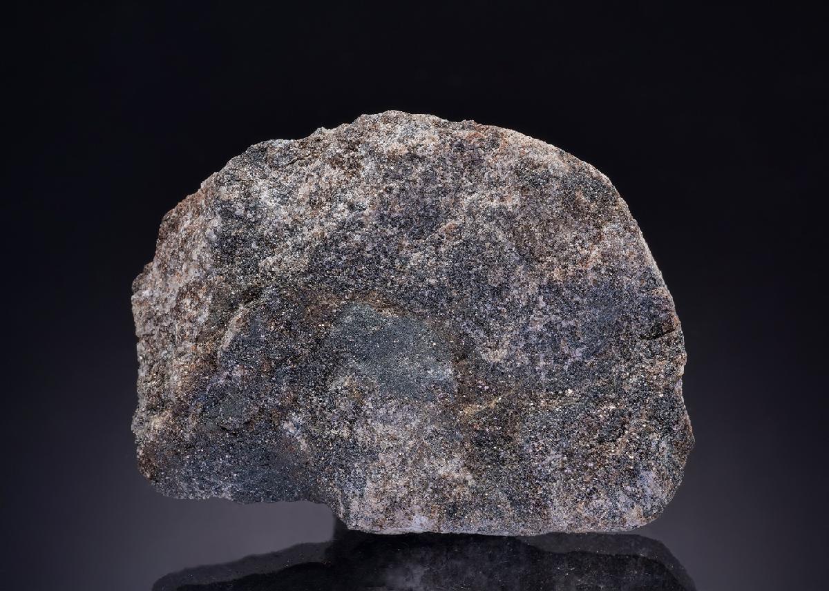 CC43976 specimen image