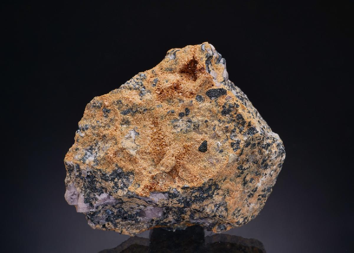 CC43980 specimen image