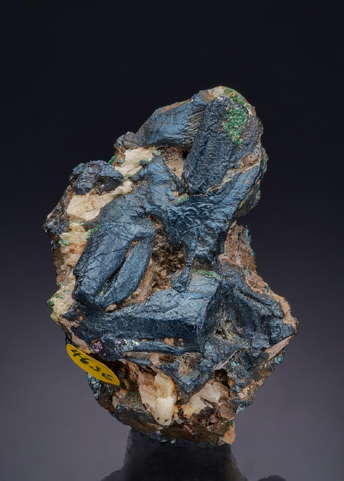CC43982 specimen image