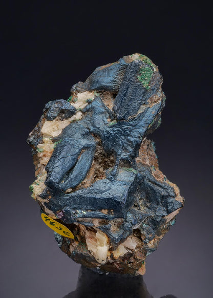 CC43982 specimen image