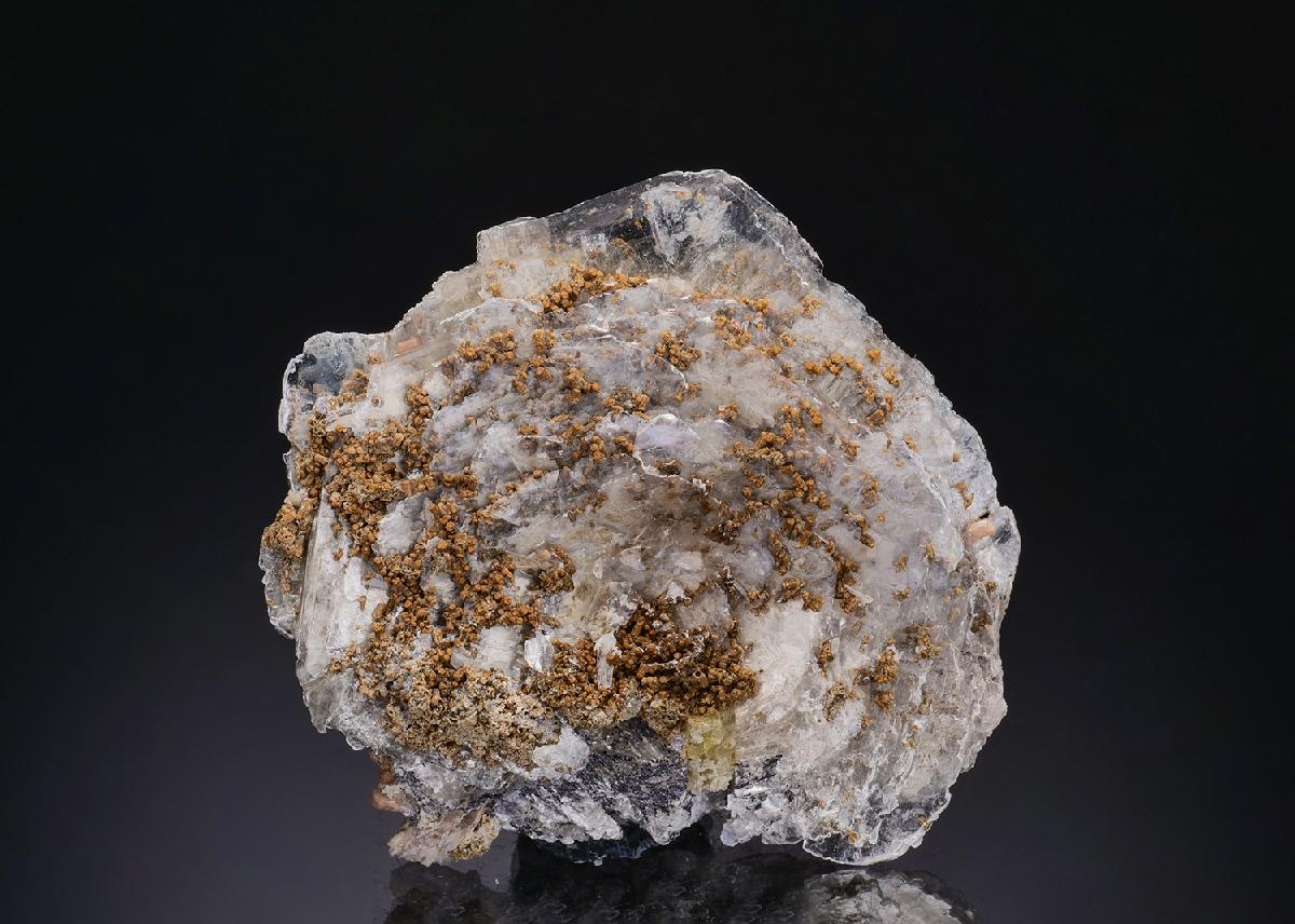 CC43984 specimen image