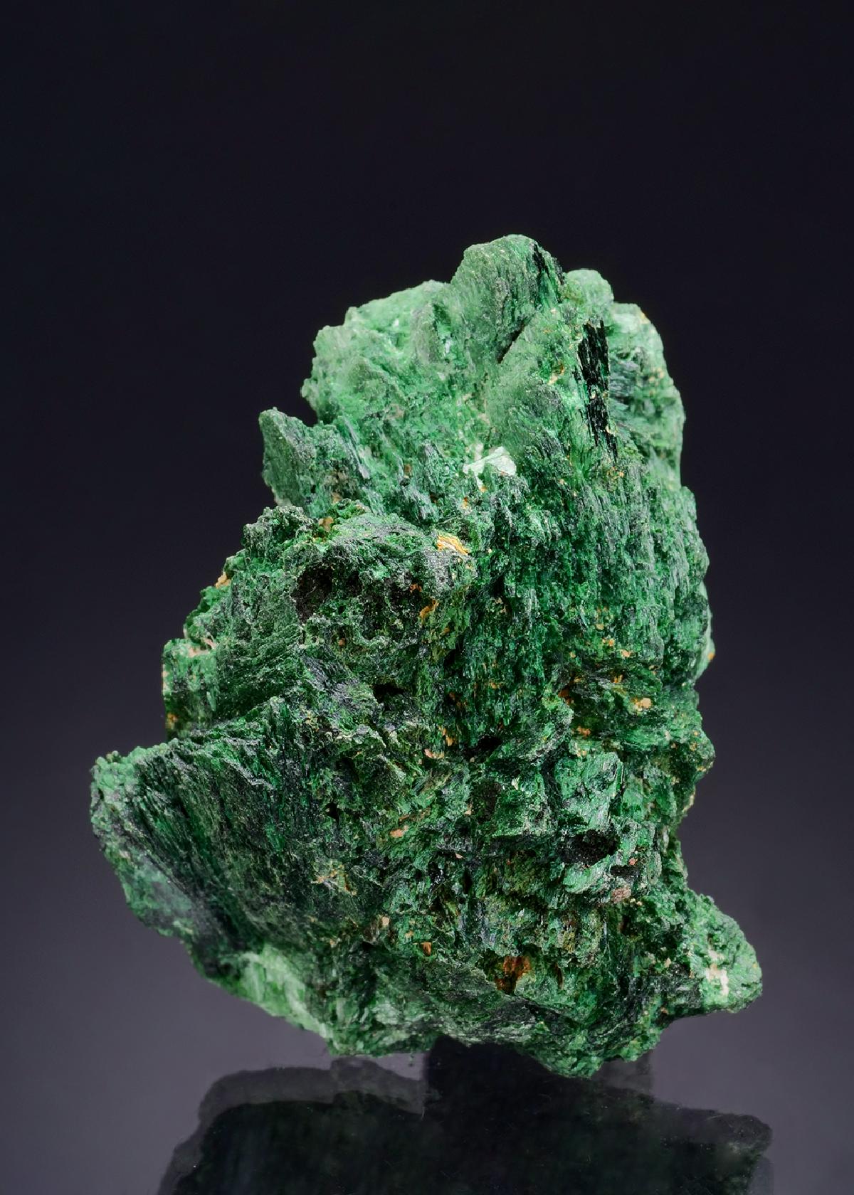CC43986 specimen image