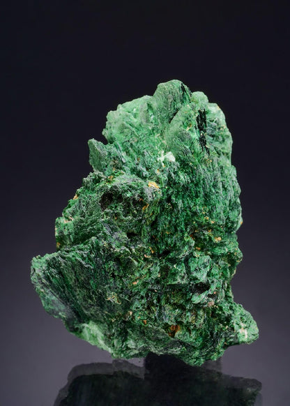 CC43986 specimen image