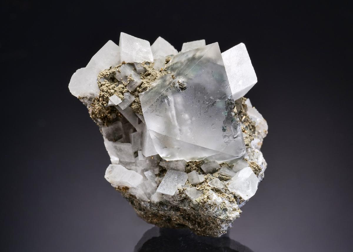 CC44012 specimen image