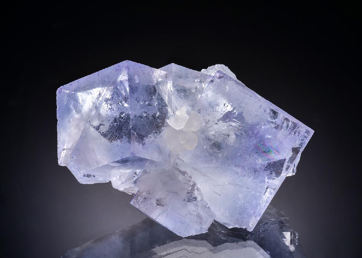 CC44034 specimen image