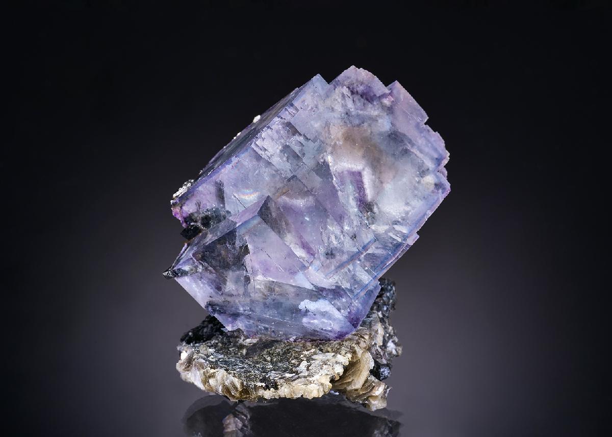 CC44038 specimen image
