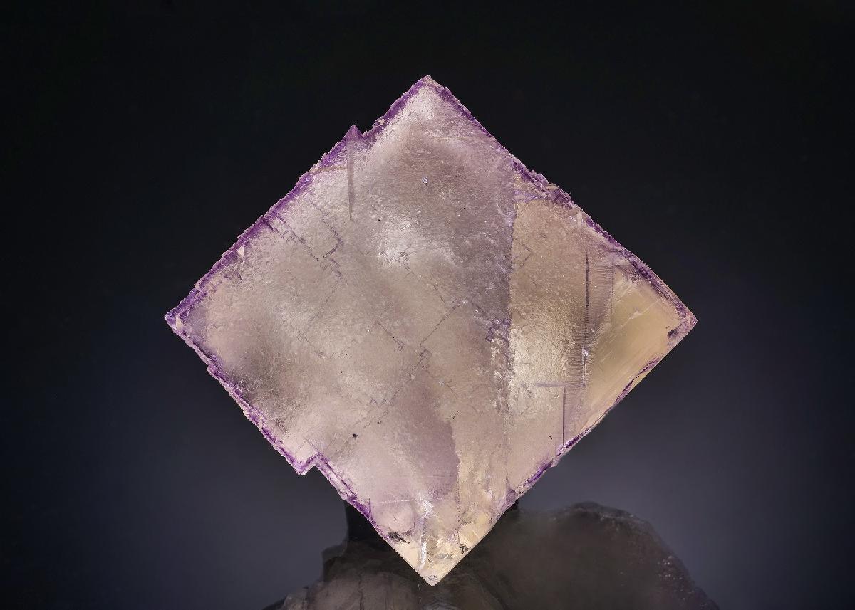 CC44040 specimen image