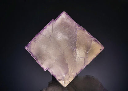 CC44040 specimen image