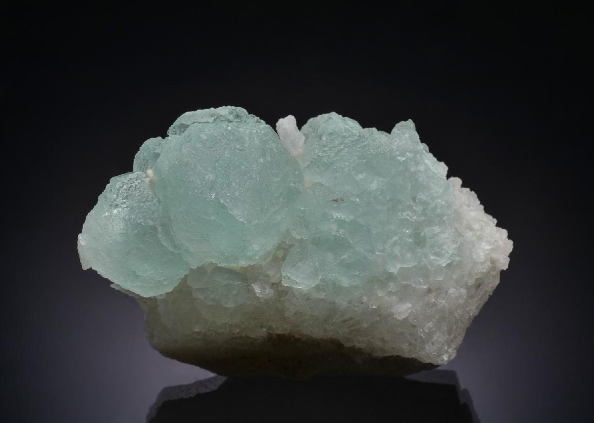 CC44068 specimen image
