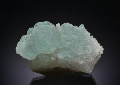 CC44068 specimen image