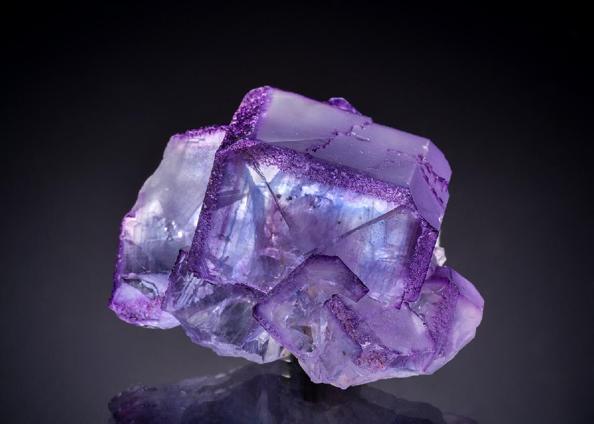 CC44084 specimen image