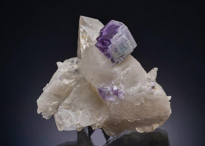 CC44092 specimen image