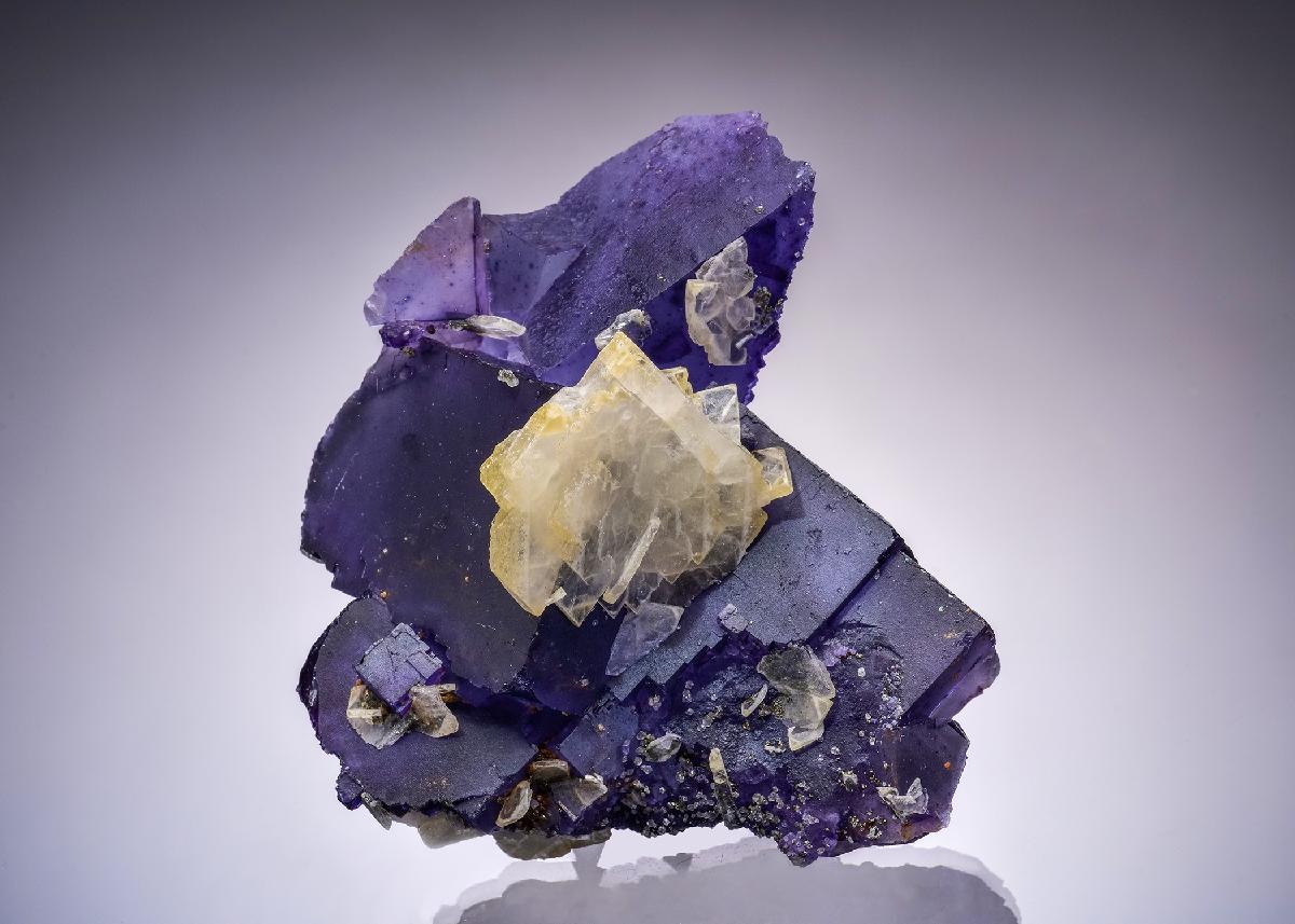 CC44128 specimen image