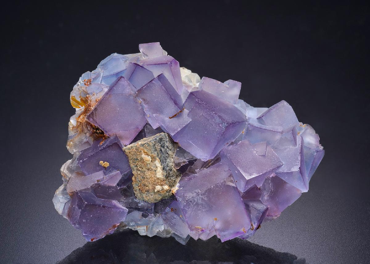 CC44208 specimen image