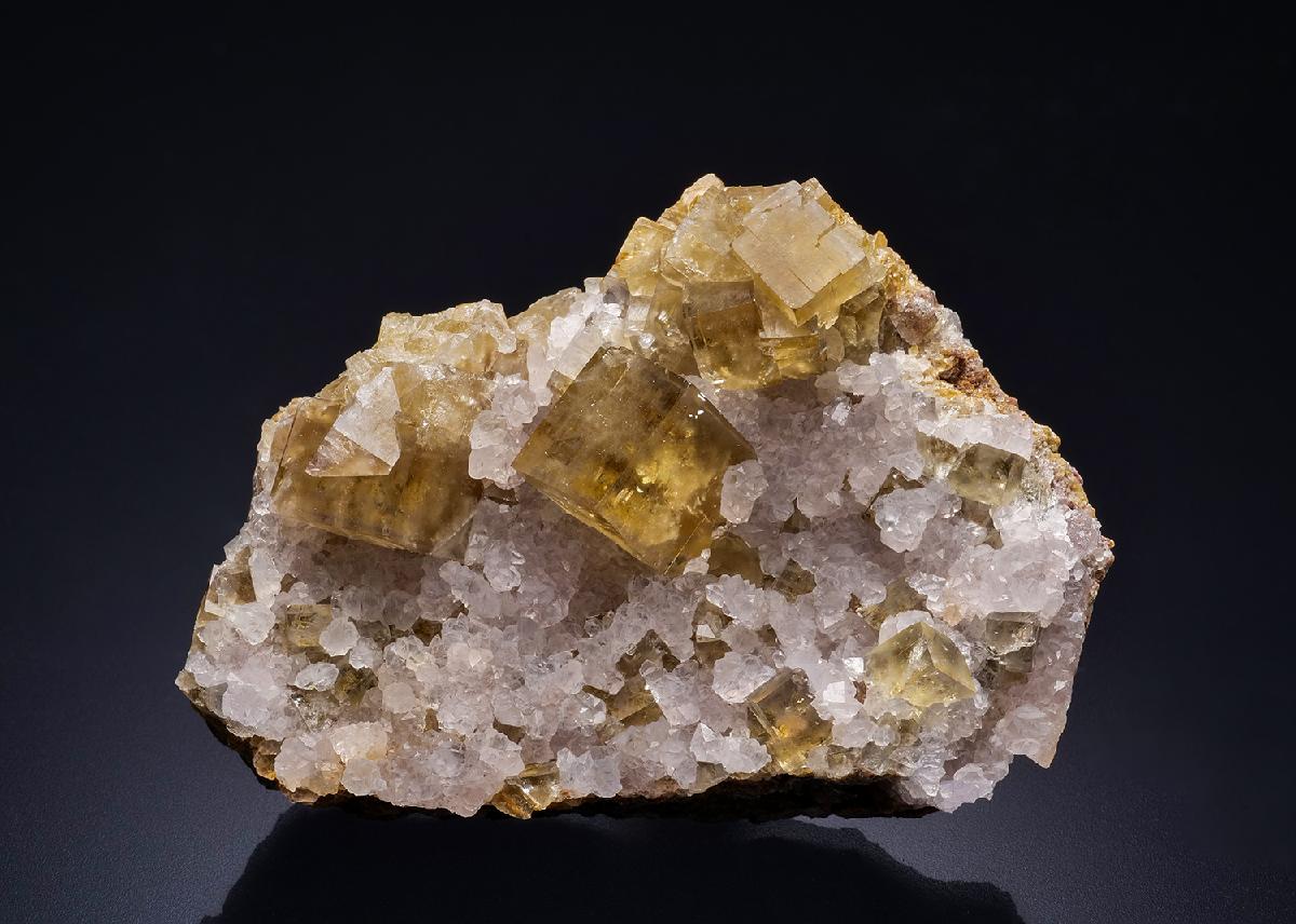 CC44214 specimen image