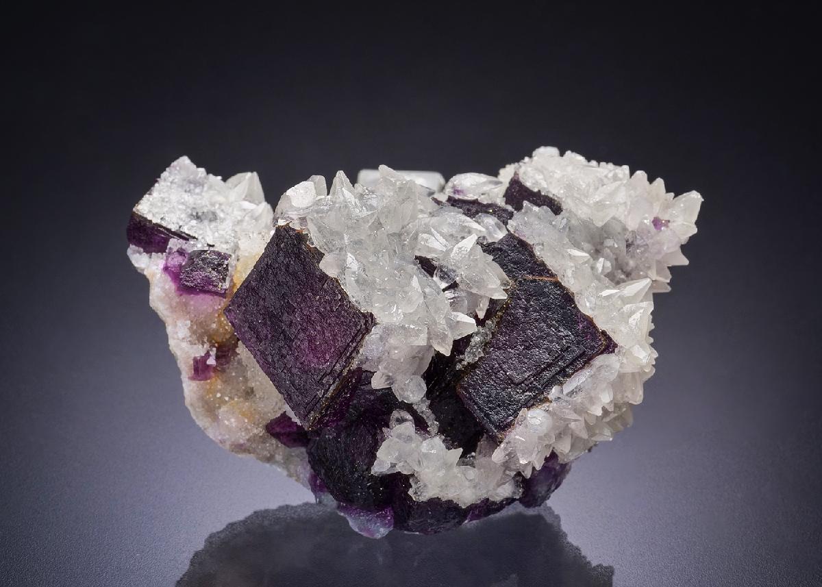 CC44216 specimen image