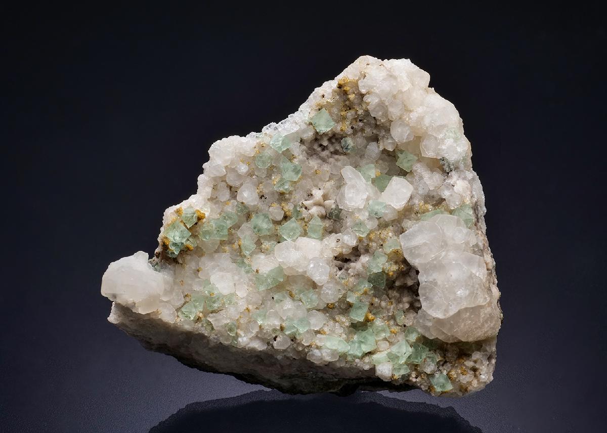 CC44218 specimen image