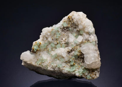 CC44218 specimen image