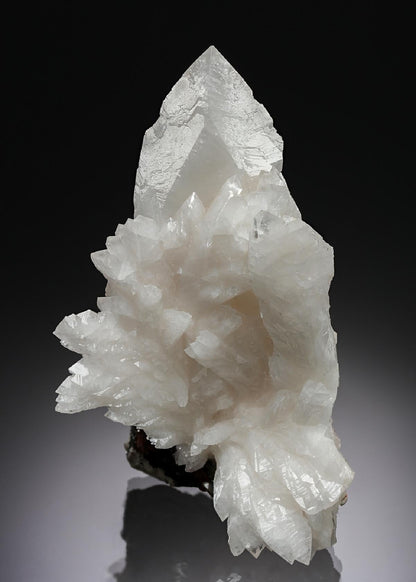 CC4422 specimen image