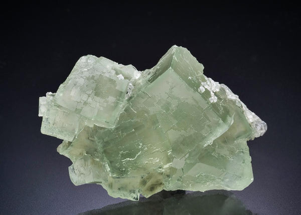 CC44222 specimen image