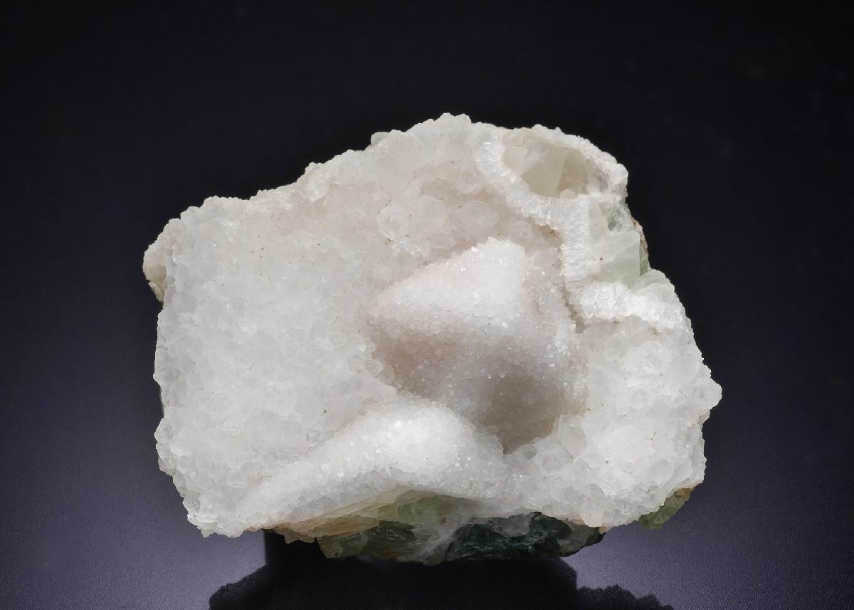 CC44286 specimen image