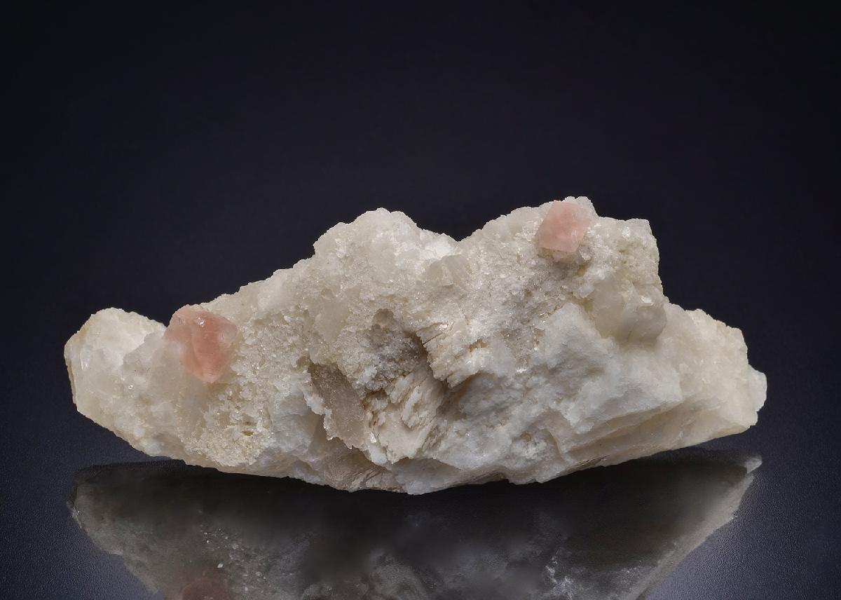CC44288 specimen image