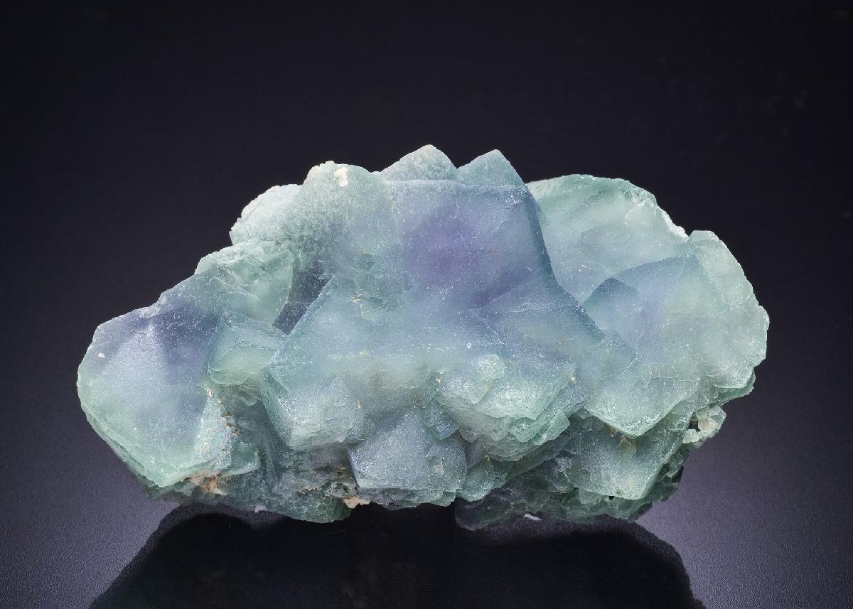 CC44292 specimen image