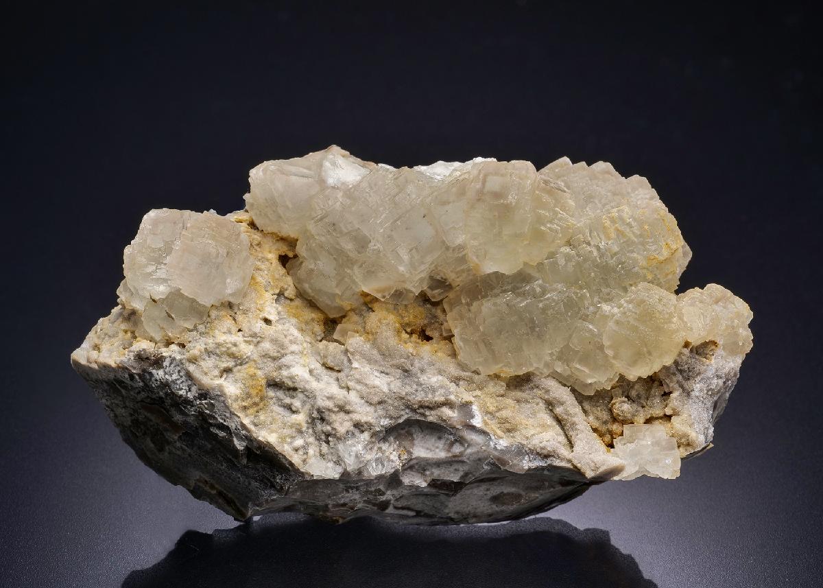 CC44302 specimen image
