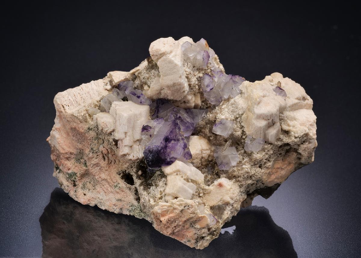 CC44304 specimen image