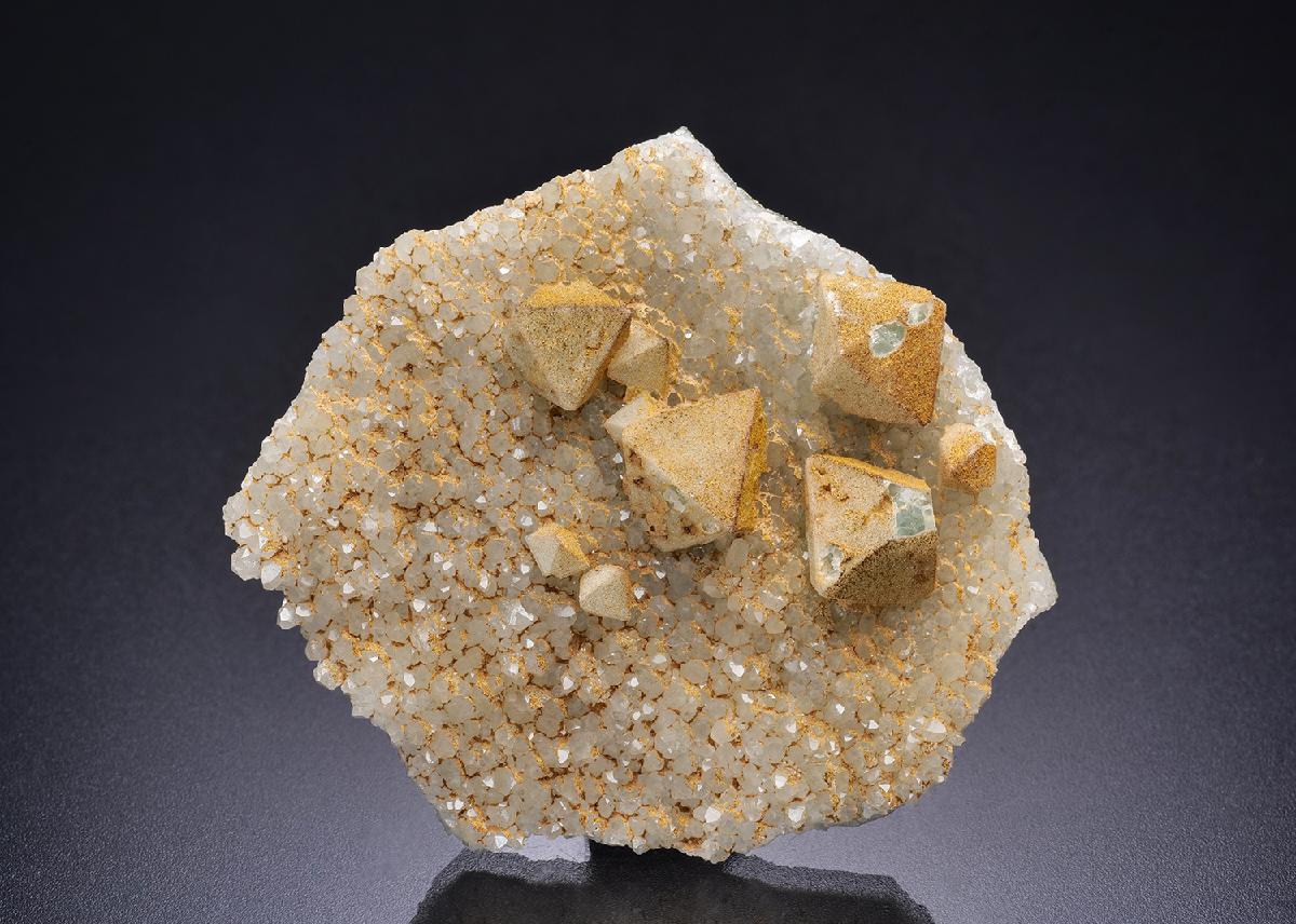CC44306 specimen image
