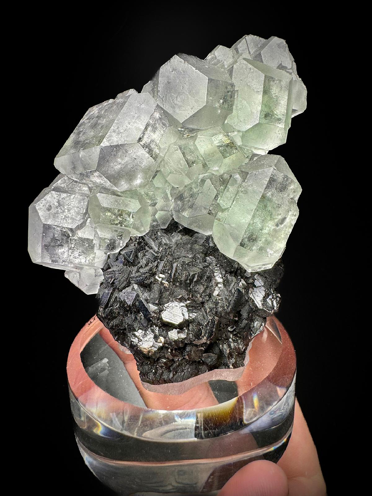 CC44378 specimen image