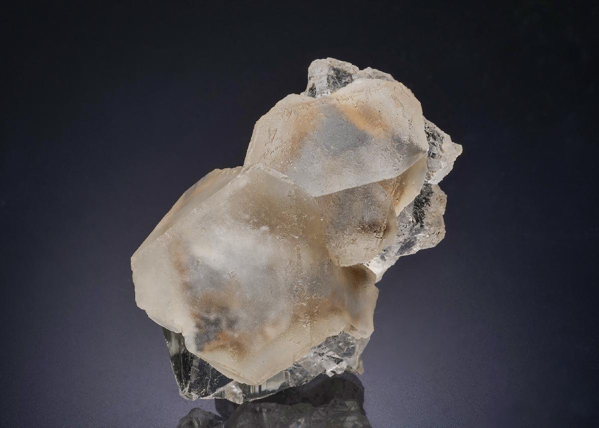 CC44426 specimen image