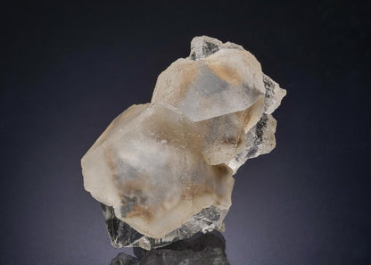 CC44426 specimen image