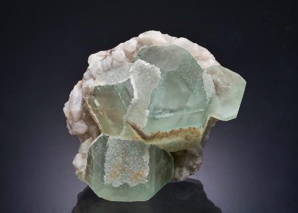 CC44428 specimen image