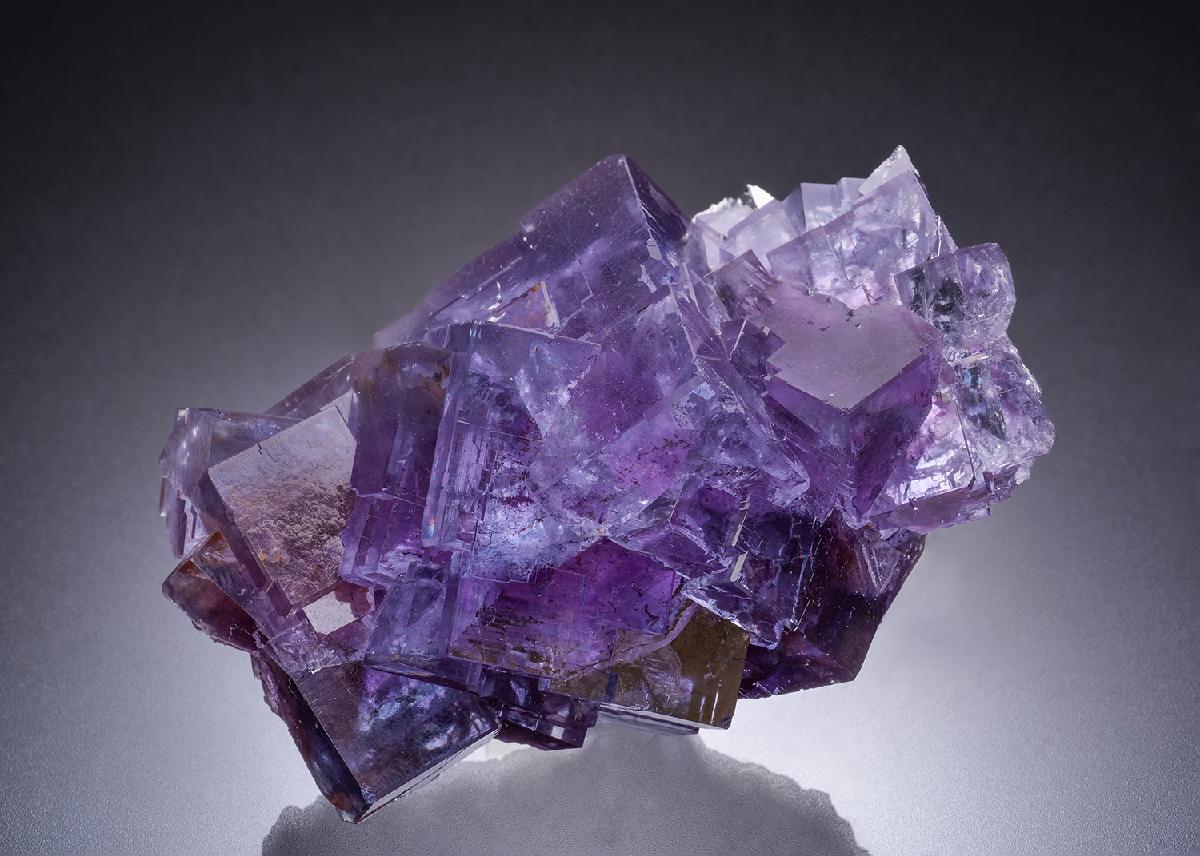 CC44430 specimen image
