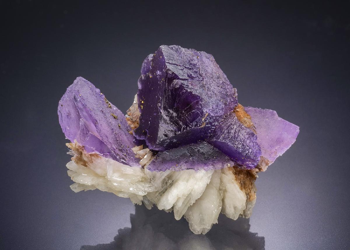 CC44432 specimen image