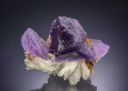 CC44432 specimen image