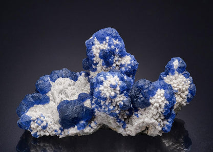CC44438 specimen image