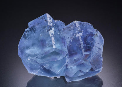 CC44442 specimen image